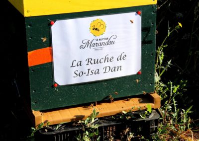 parrainer ruche Abeille Rucher du Marandou miel ruche apiculture fleur dordogne périgord bienvenue à la ferme