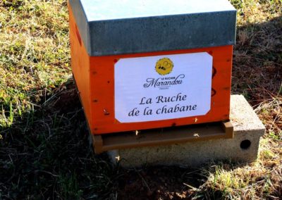 parrainer ruche Abeille Rucher du Marandou miel ruche apiculture fleur dordogne périgord bienvenue à la ferme