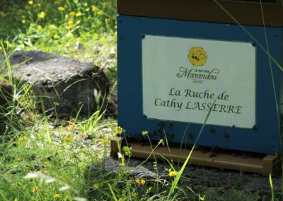 parrainer ruche Abeille Rucher du Marandou miel ruche apiculture fleur dordogne périgord bienvenue à la ferme
