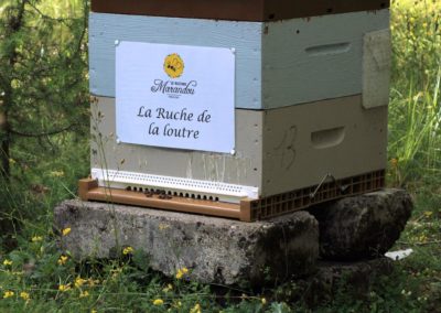 parrainer ruche Abeille Rucher du Marandou miel ruche apiculture fleur dordogne périgord bienvenue à la ferme