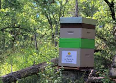 parrainer ruche Abeille Rucher du Marandou miel ruche apiculture fleur dordogne périgord bienvenue à la ferme