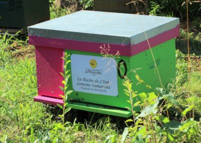 parrainer ruche Abeille Rucher du Marandou miel ruche apiculture fleur dordogne périgord bienvenue à la ferme