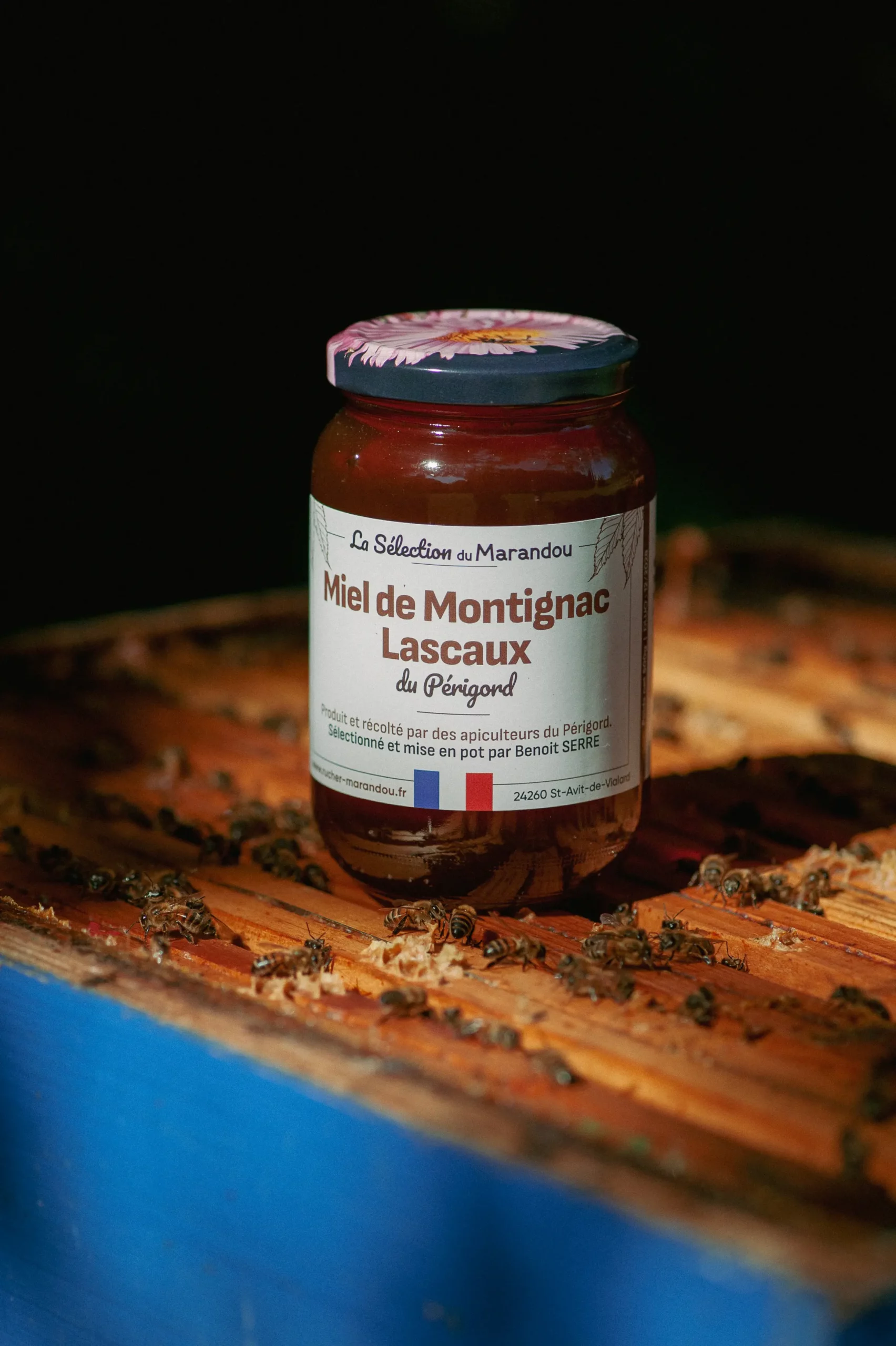 Miel du Périgord en pot sur cadre de ruche – apiculteur en Dordogne