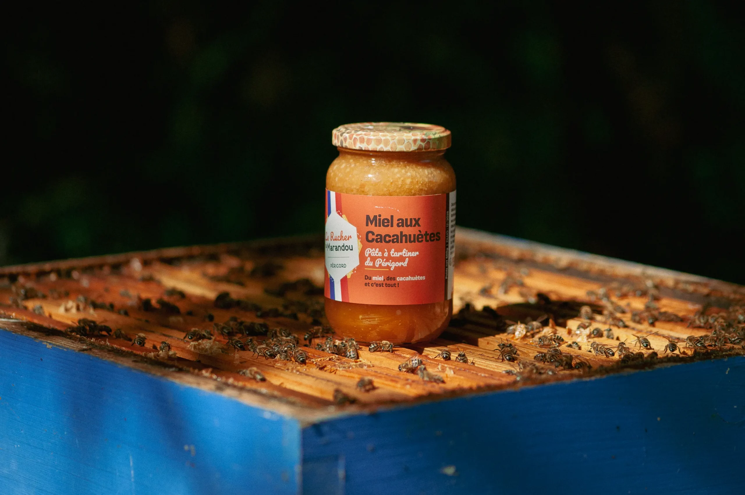 Pot de miel aux cacahuètes du Périgord 500 g – Le Rucher du Marandou