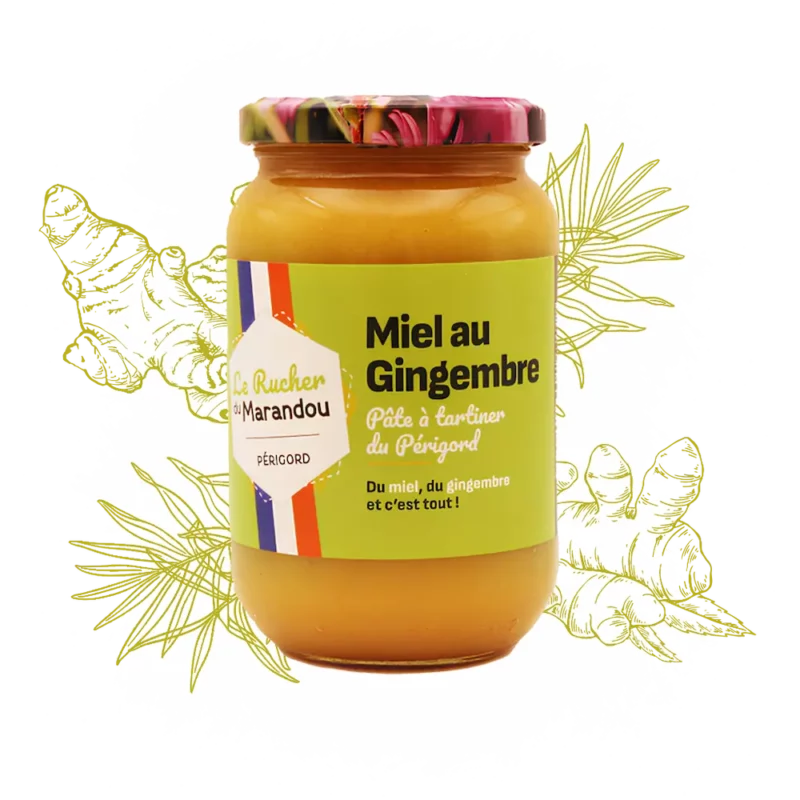 Miel au gingembre 500 g – Apiculteur producteur Dordogne – Rucher du Marandou