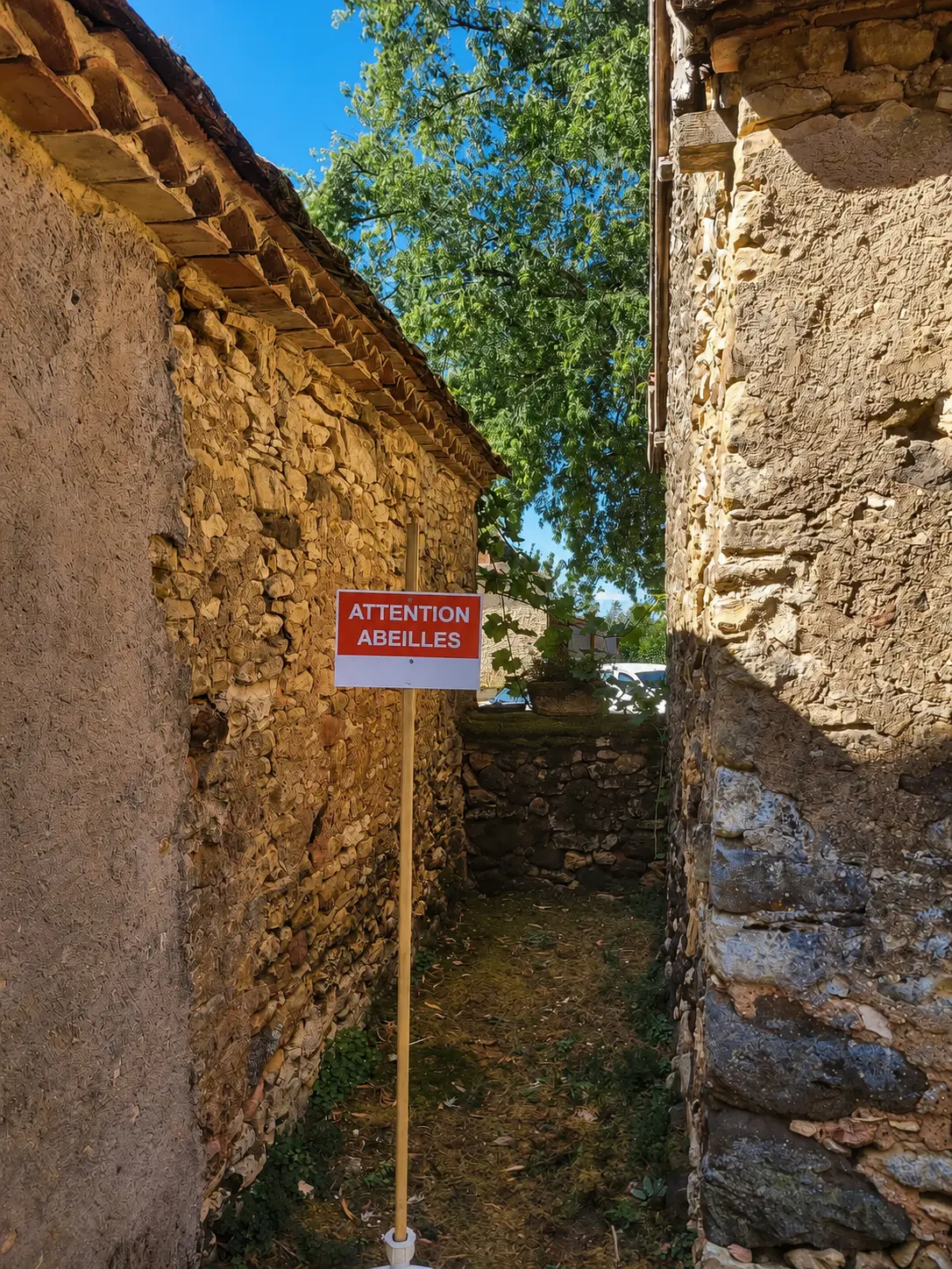 Panneau "Attention abeilles" installé entre deux maisons en pierre du Périgord à proximité d'une colonie d'abeilles installée dans un mur.